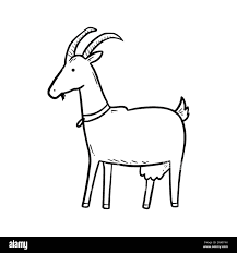 Image du contrat Tomme de chèvre et vache
