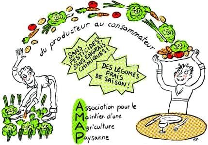 Photo de profil de Anthony Bélier