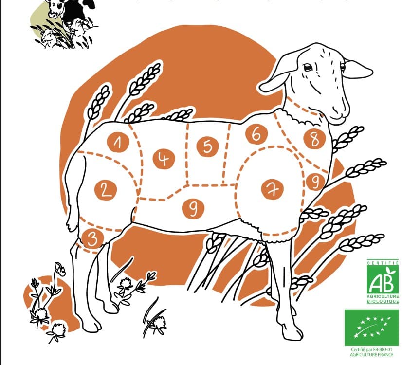 Contrat viande d'agneau et merguez 2024