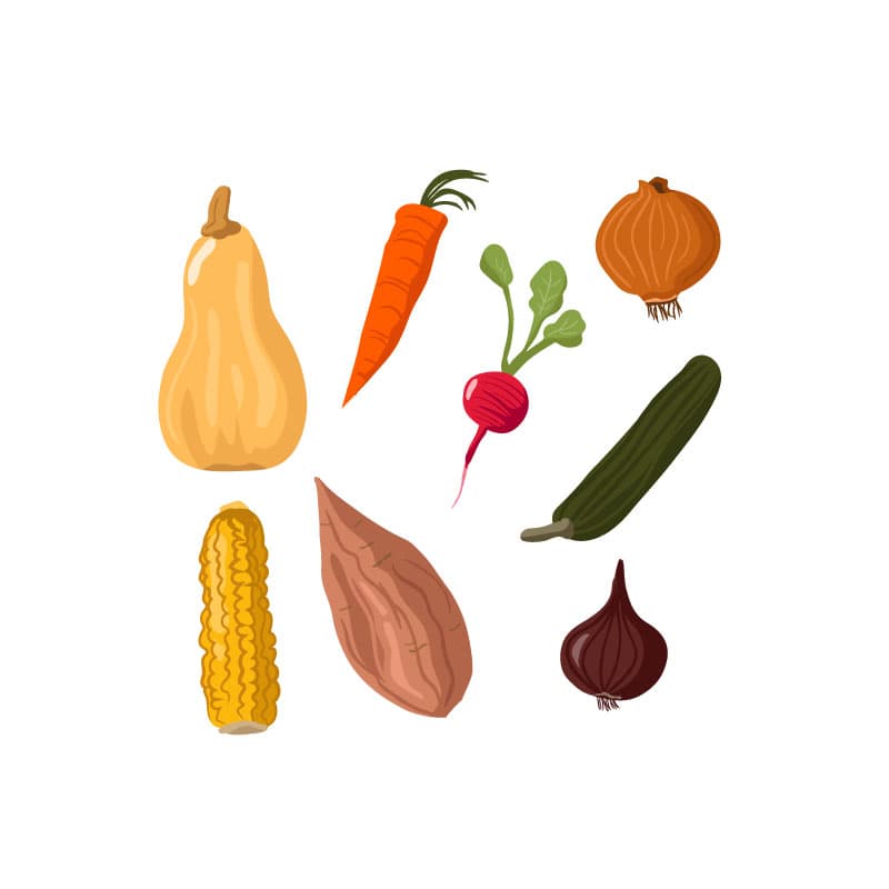 Contrat légumes de garde 2024 2025