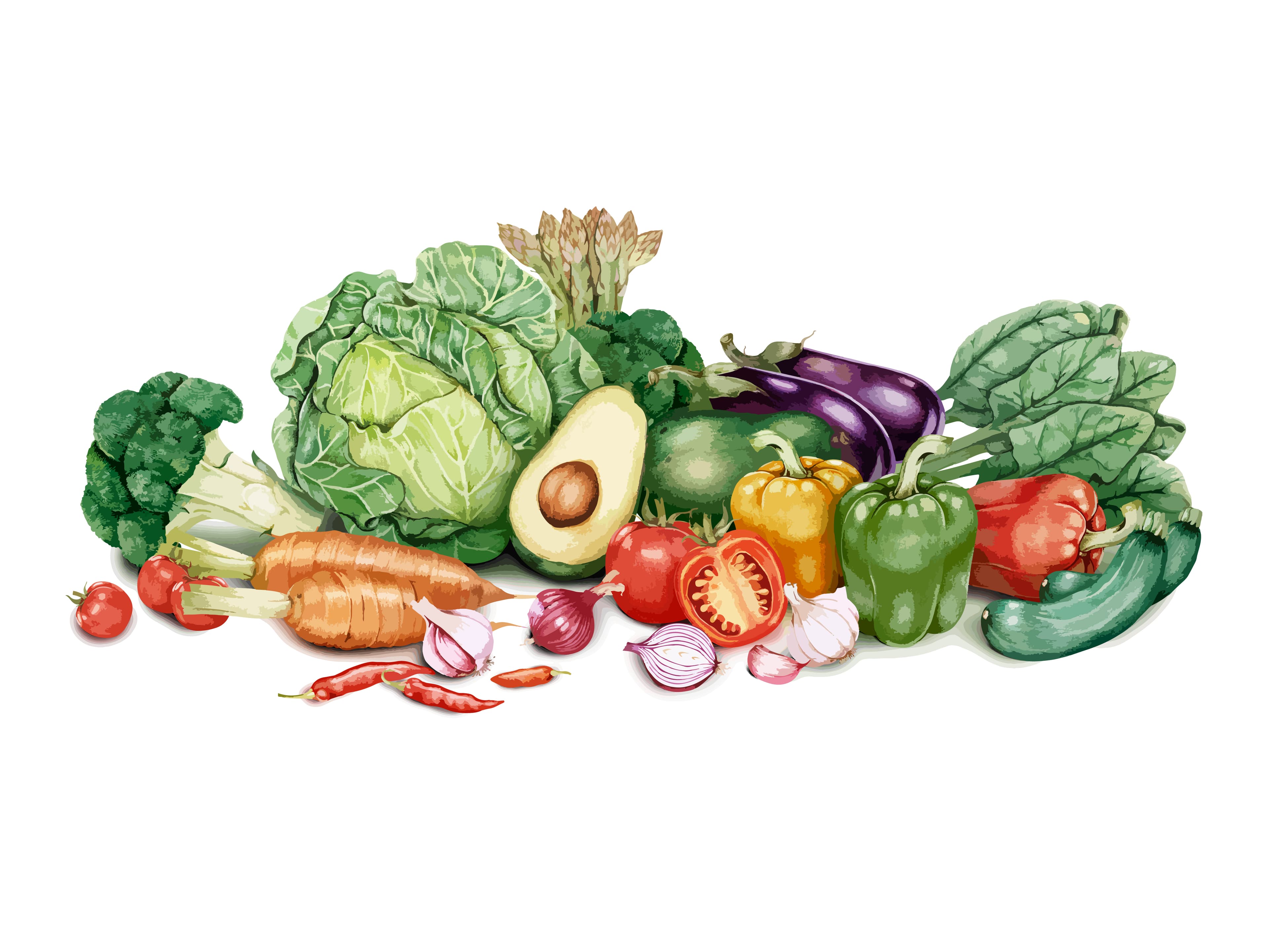 Contrat Légumes hiver 2024- 2025