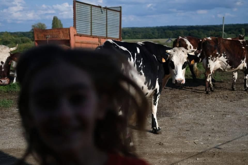 Image du contrat Contrat lait de vache et plus 2026-2027