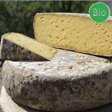 contrat tomme de vache 2025
